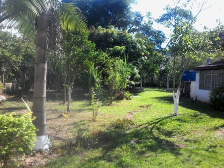 Vista do pomar lado esquedo da entrada 